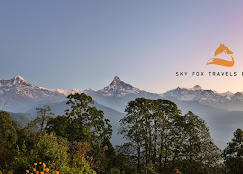 Company Banner 7