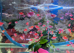 Company Banner 2