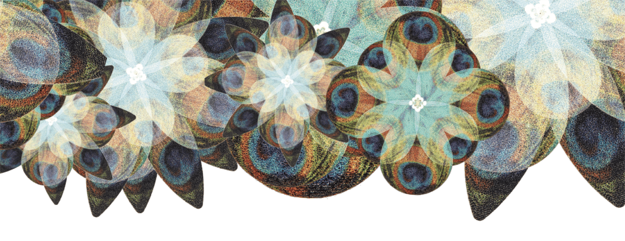 Company Banner 1