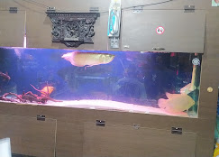 Company Banner 3