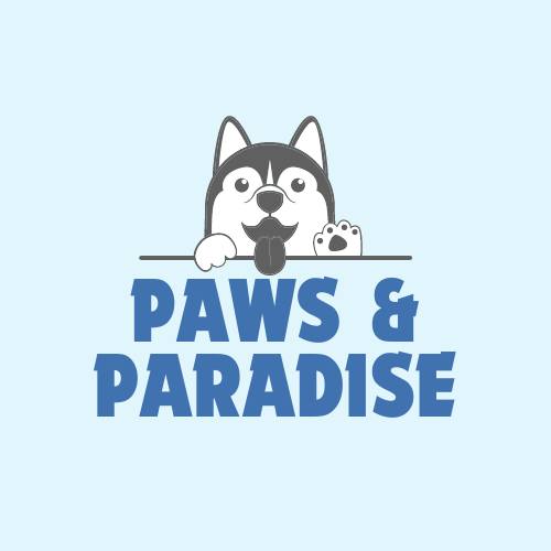 Company Banner 2