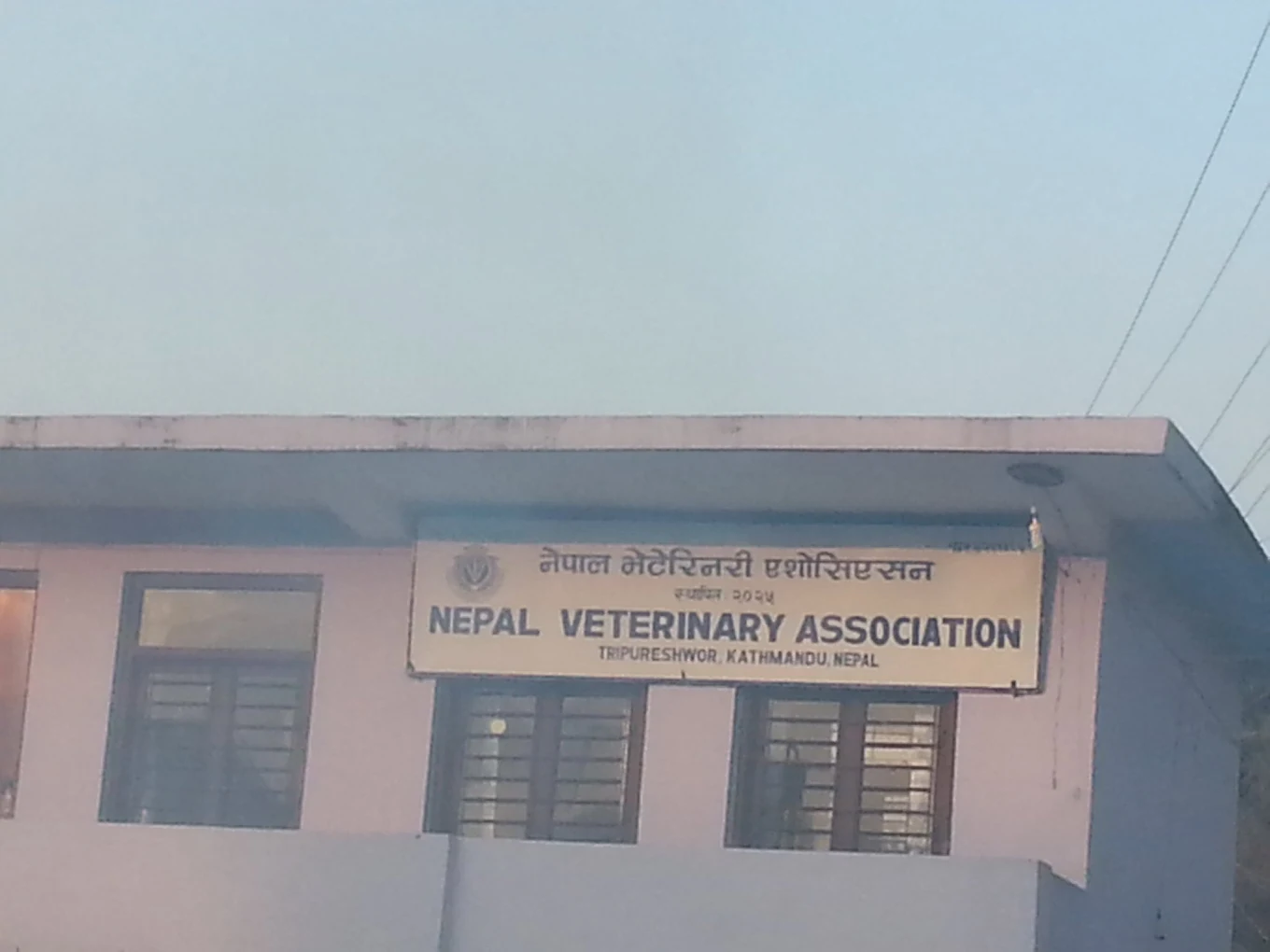 Company Banner 1