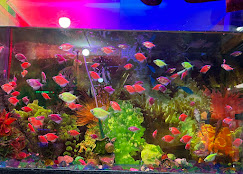 Company Banner 3