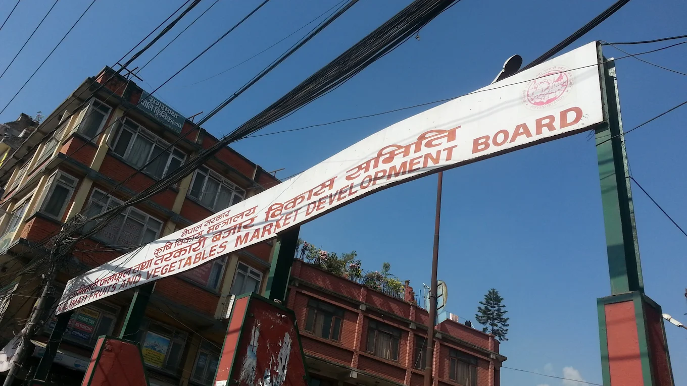 Company Banner 1