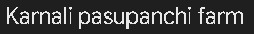 Company Banner 1