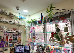 Company Banner 2