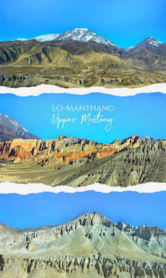 Company Banner 6