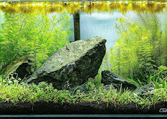 Company Banner 4