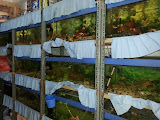 Company Banner 1