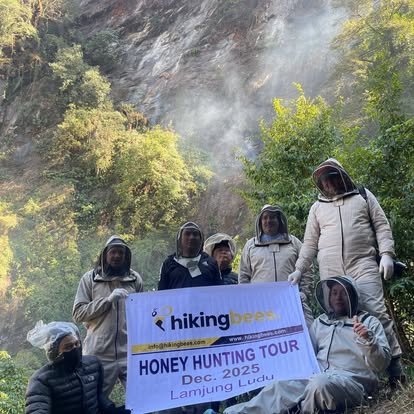 Company Banner 3