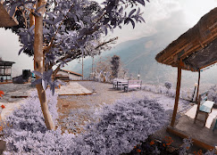 Company Banner 5