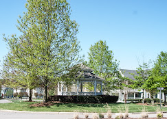 Company Banner 4