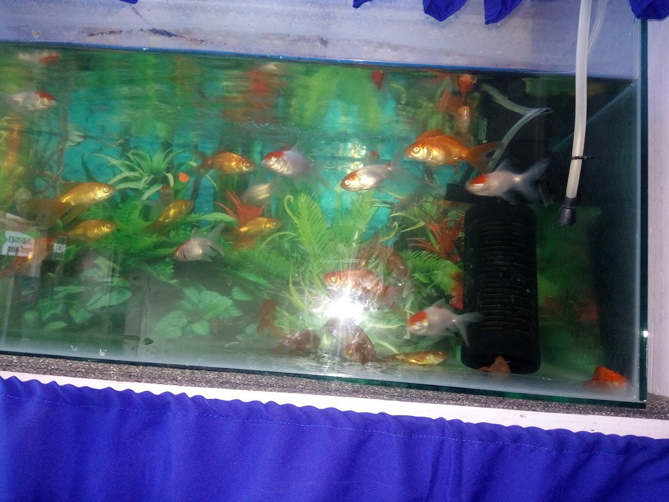 Company Banner 2
