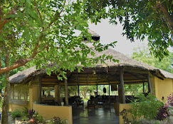 Company Banner 8