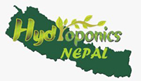 Company Banner 3