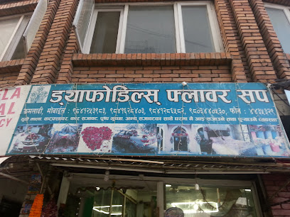 Company Banner 1
