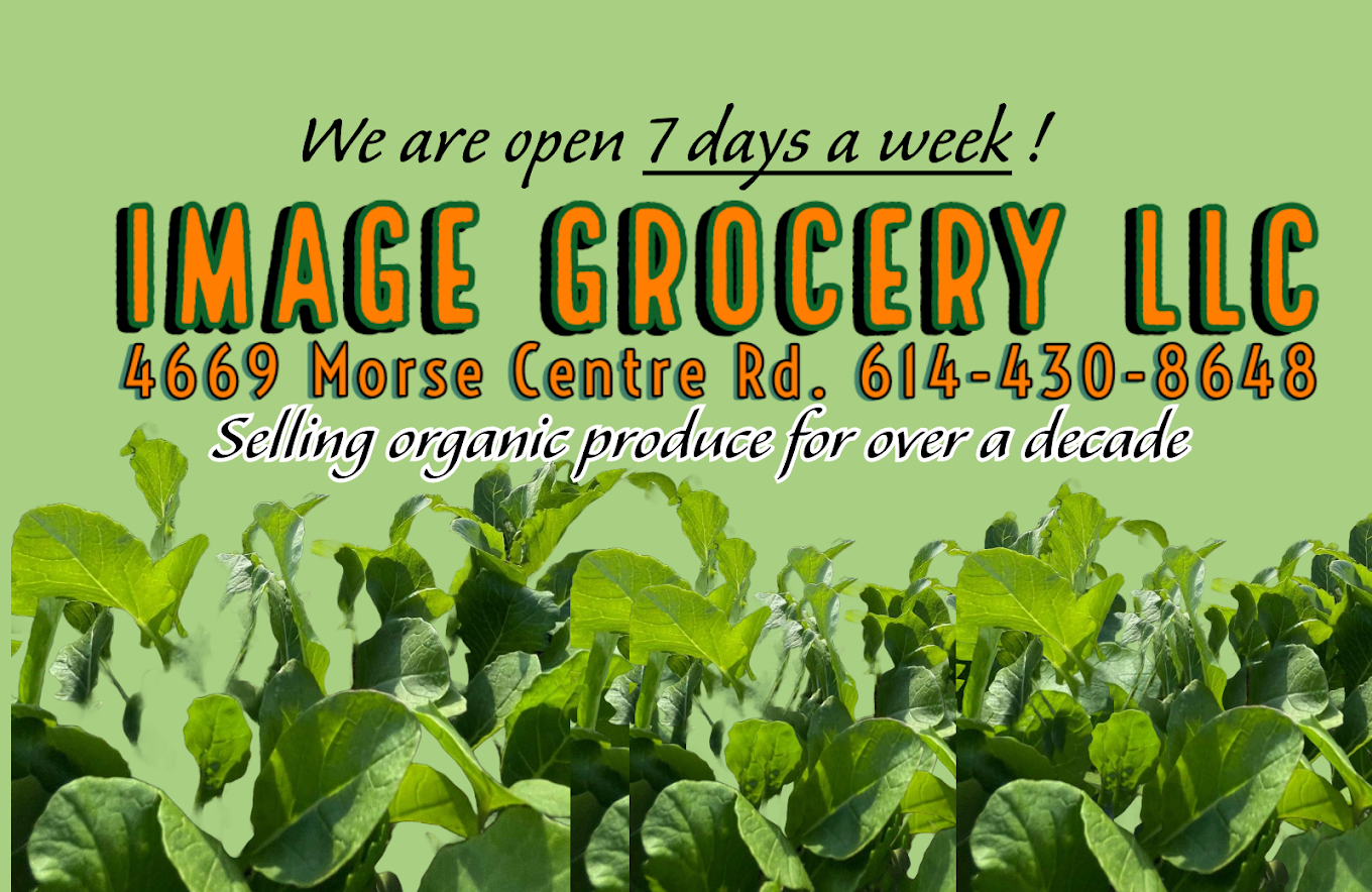 Company Banner 1