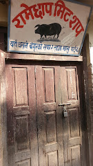 Company Banner 1
