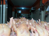 Company Banner 3