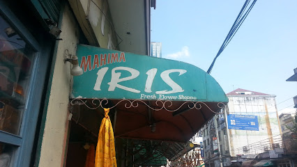 Company Banner 1