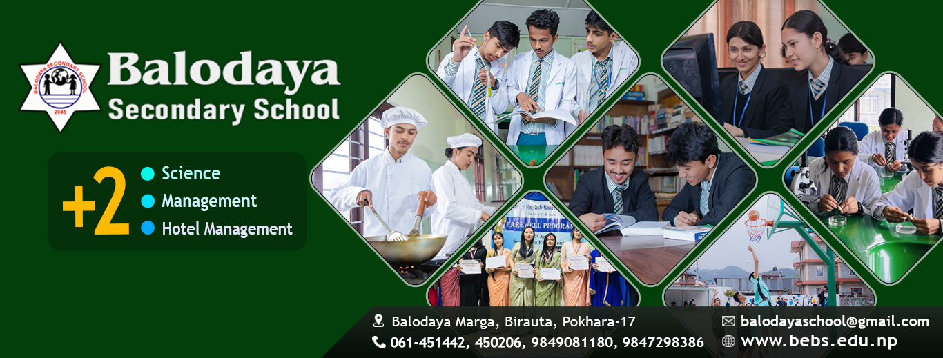 Company Banner 4