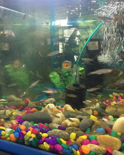 Company Banner 3