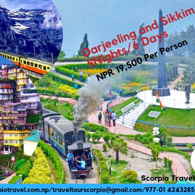 Company Banner 1