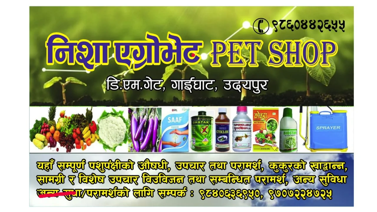 Company Banner 1