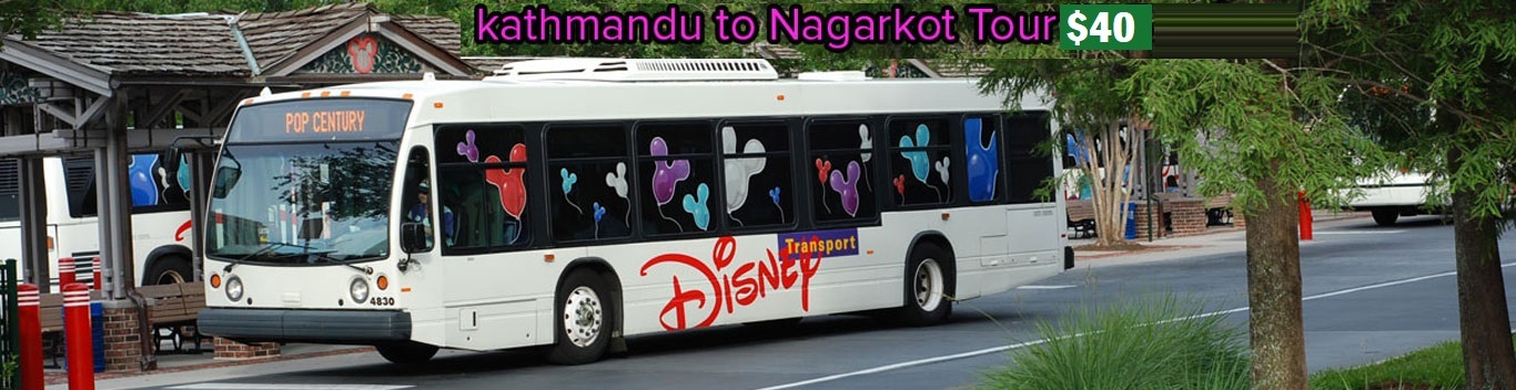 Company Banner 1