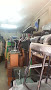 Company Banner 2