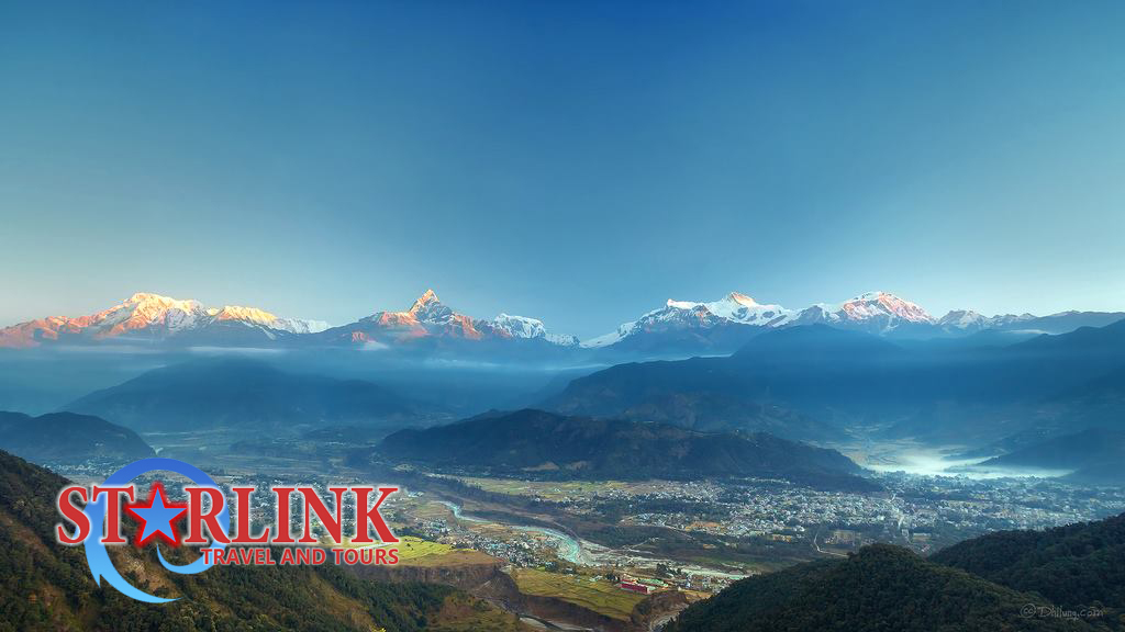 Company Banner 4