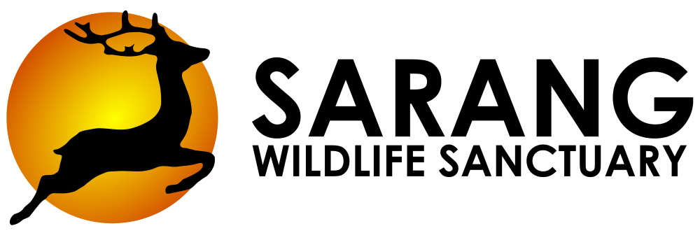 Company Banner 1