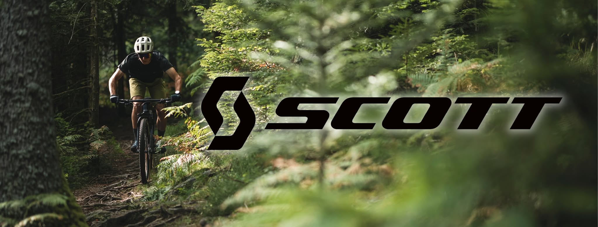 Company Banner 2