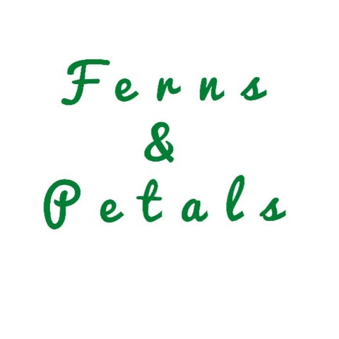 Company Banner 1