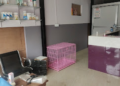 Company Banner 2