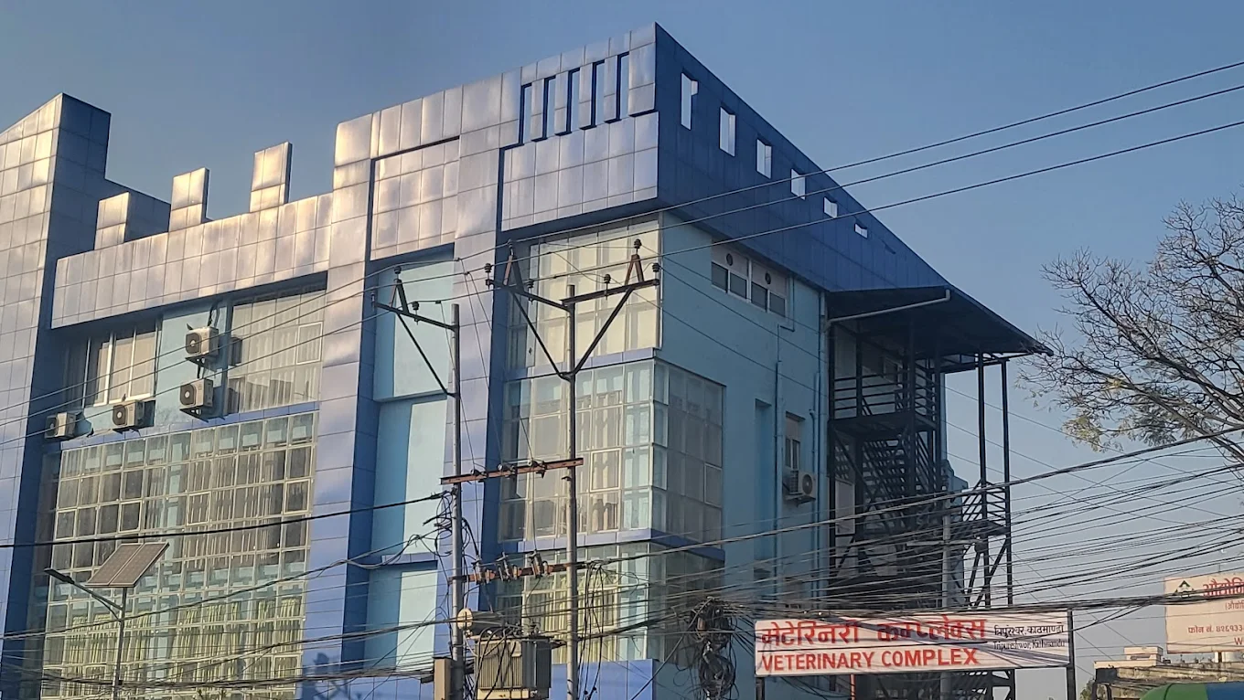 Company Banner 1