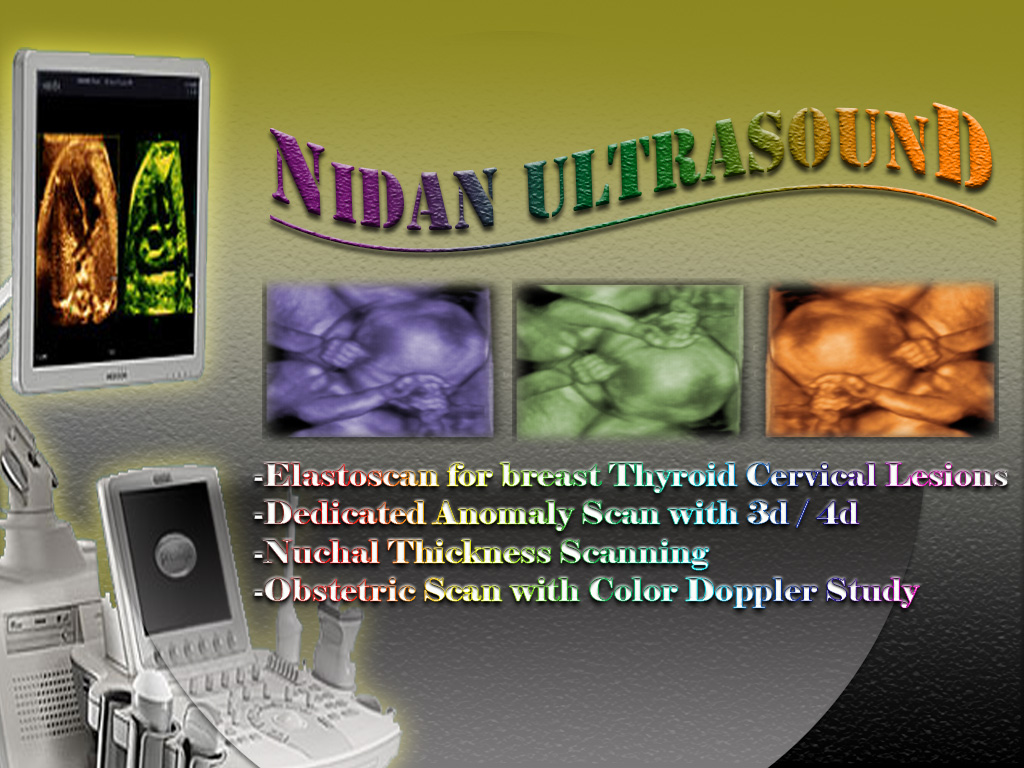 Company Banner 1