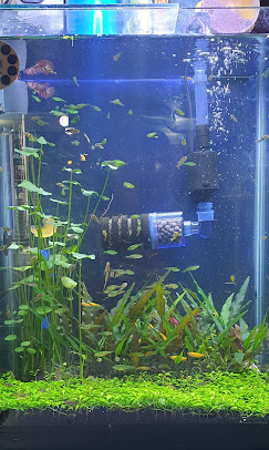 Company Banner 3