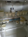 Company Banner 2