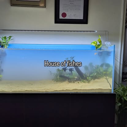 Company Banner 2