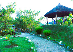Company Banner 6