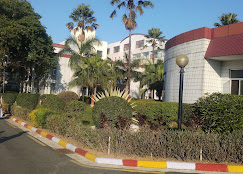 Company Banner 3