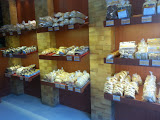 Company Banner 1