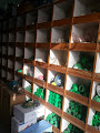 Company Banner 2