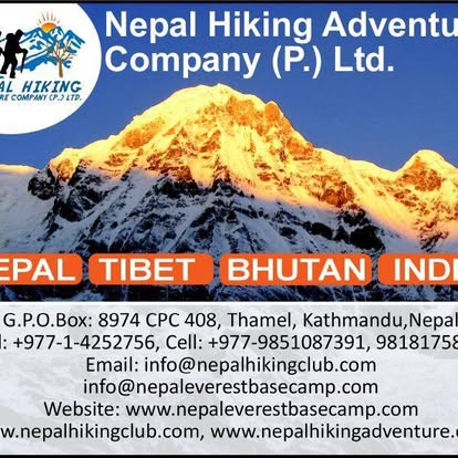 Company Banner 2