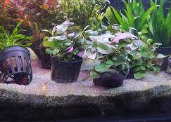 Company Banner 1