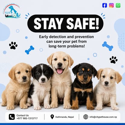 Company Banner 2