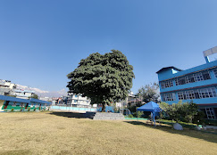 Company Banner 4