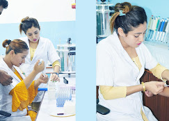Company Banner 4