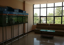 Company Banner 2